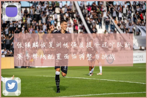 张镇麟恢复训练强度提升辽宁队新赛季锋线配置面临调整与挑战