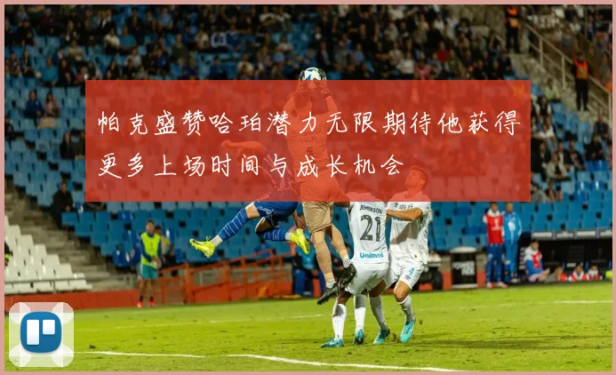 帕克盛赞哈珀潜力无限期待他获得更多上场时间与成长机会