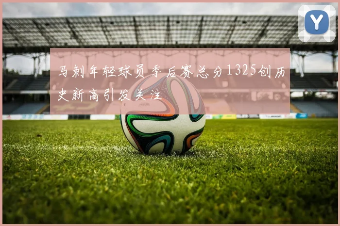 马刺年轻球员季后赛总分1325创历史新高引发关注
